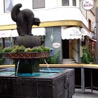Zell - Zeller Schwarze Katz